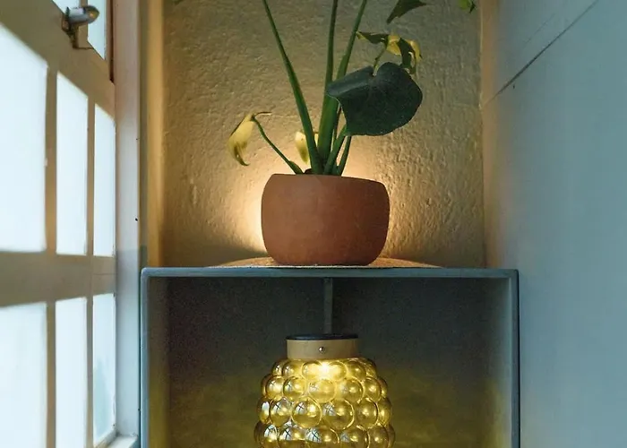 Artful Mexican Tiny In Condesa Escandon Apartment