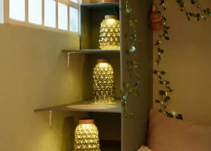 Apartment Artful Mexican Tiny In Condesa Escandon Mexico City