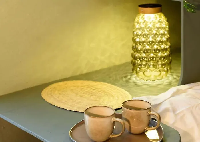 Apartment Artful Mexican Tiny In Condesa Escandon Mexico City
